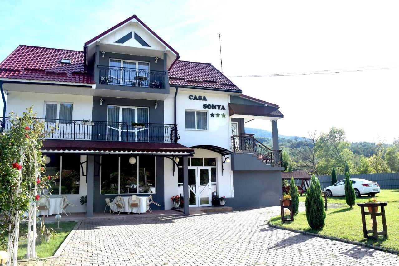 Casa Sonya Apartment Aninoasa Exterior foto