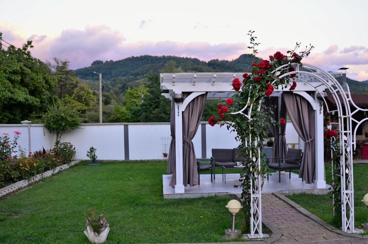 Casa Sonya Apartment Aninoasa Exterior foto