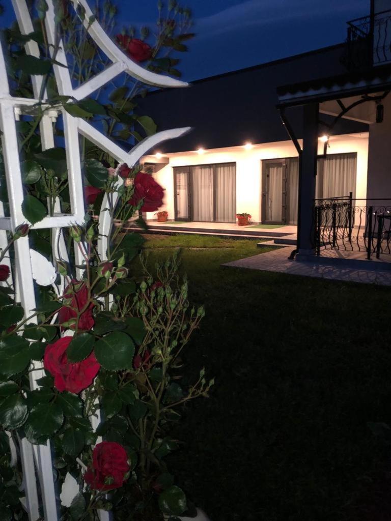 Casa Sonya Apartment Aninoasa Exterior foto